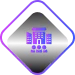 Metaverse Enterprise Solutions Icon